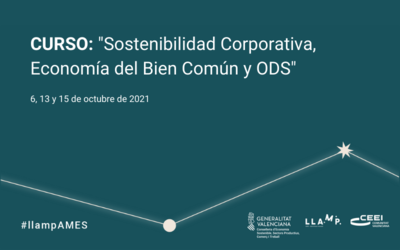 Curso Llamp AMES y Aceleraci�n 3I: Sostenibilidad Corporativa
