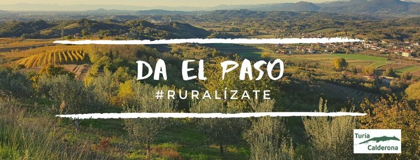 GAL Grupo Acci�n Local Turia�Calderona