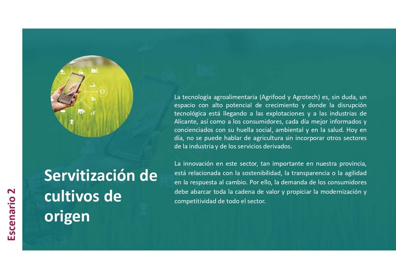 SERVITIZACI�N CULTIVOS