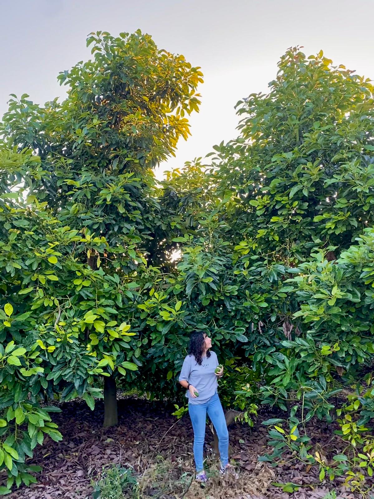 La Xiqueta de l'Hort