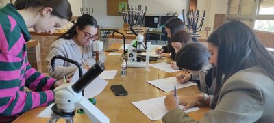 La importancia de despertar la curiosidad cient�fica desde la ense�anza