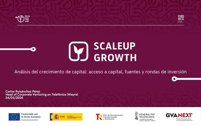 An�lisis del crecimiento de capital: acceso a capital, fuentes y rondas de inversi�n