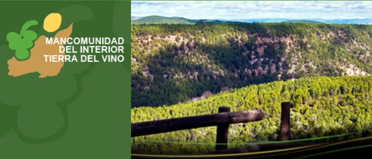 Mancomunidad Territorial Tierra del Vino