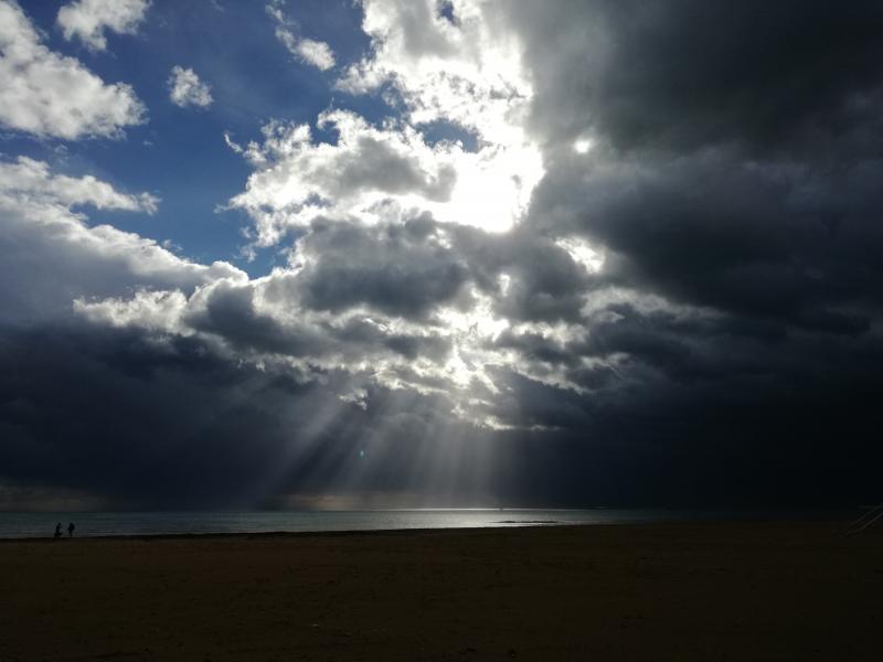 EN BUSCA DE LAS EMOCIONES PERDIDAS