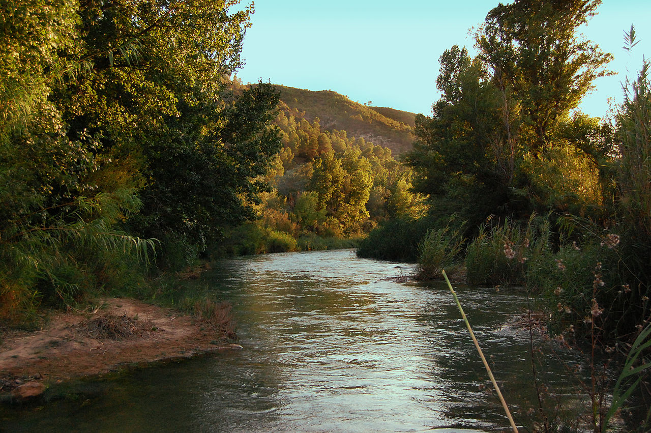 Carbon Proof reforestar� el Parque Natural de las Hoces del Cabriel