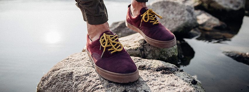 Flamingos'Life (Bloom Organization S.L.)