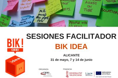 Sesi�n Facilitadores BIK IDEA en Alicante