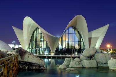 Oceanogr�fic Amazing VRViewer 360�