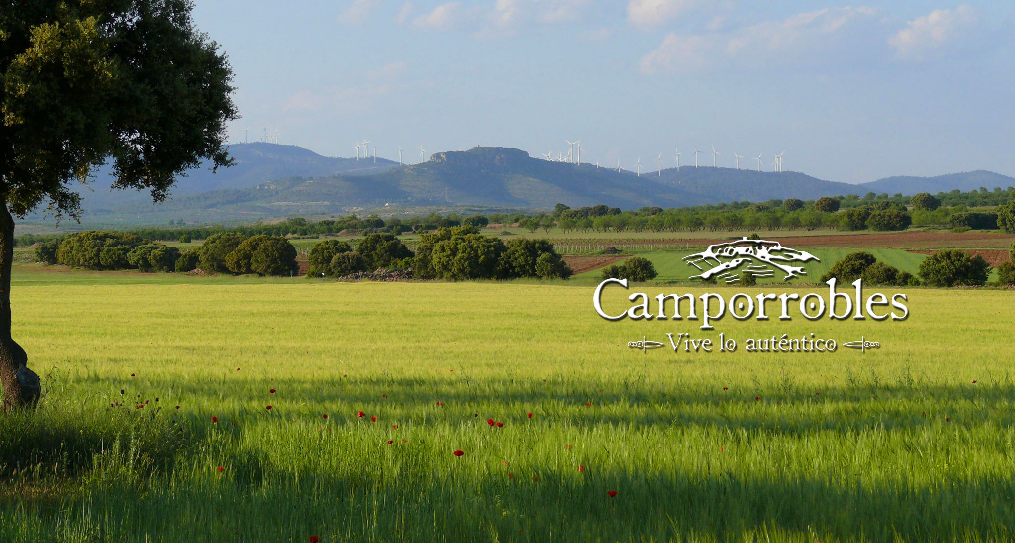 AEDL Ayuntamiento de Camporrobles