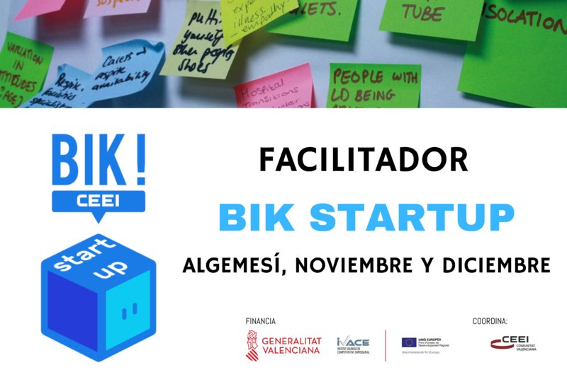Falicitador BIK Startup Algemes�