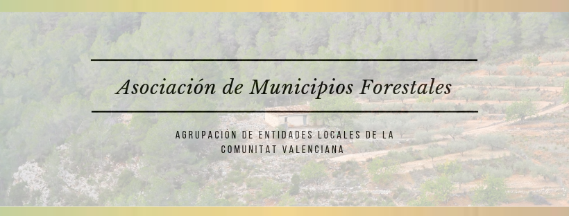 Asociaci�n de Municipios Forestales AMUFOR