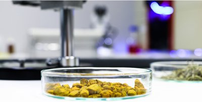 Idai Nature al frente de la innovaci�n europea en Biocontrol