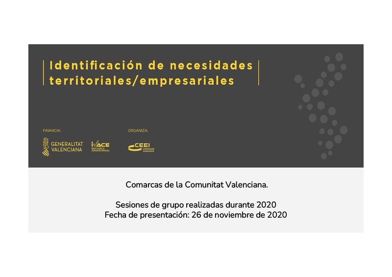 Identificaci�n de necesidades territoriales y empresariales