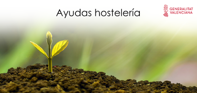 AYUDAS HOSTELER�A