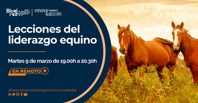CDPL � Lecciones del liderazgo equino