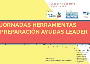 Jornadas online sobre preparaci�n de ayudas LEADER