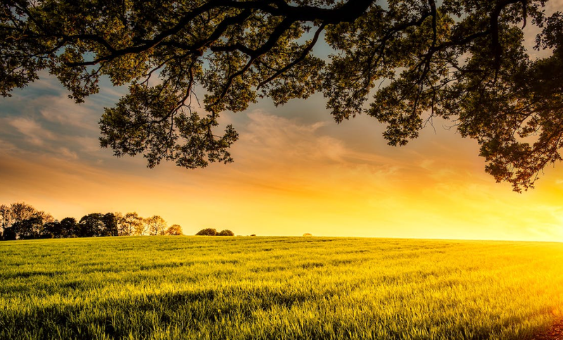 El Alto Turia ofrece a los emigrados la vuelta a casa con sus negocios